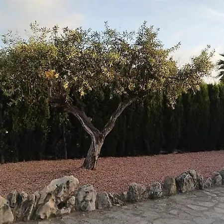 Martí * Calpe